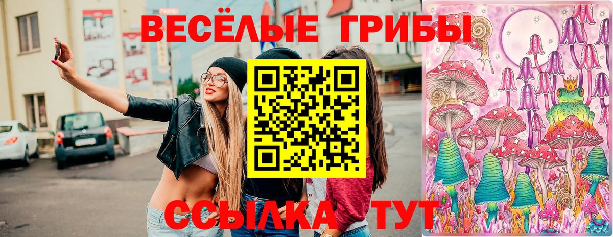 Галлюциногенные грибы прущие грибы  Вход с VPN  Камышин 