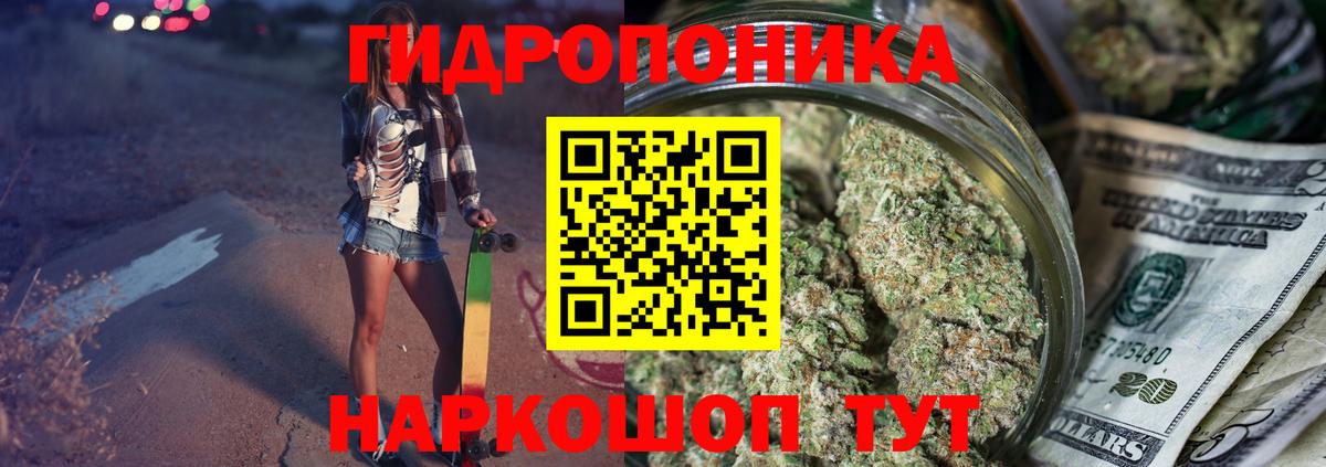 Канабис AK-47  Конопля план  Вход с VPN  Камышин  Марихуана сатива 